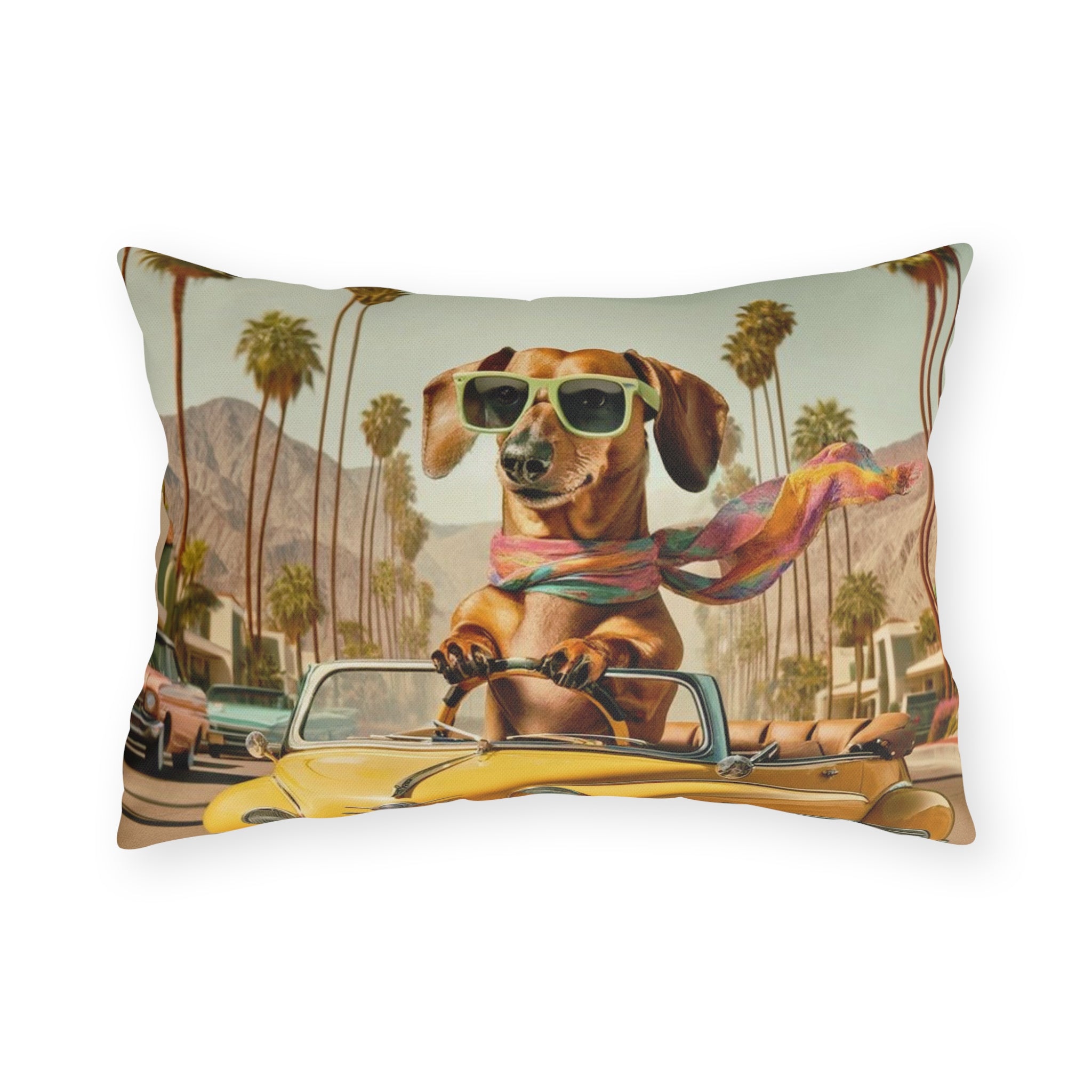 Doxie Dog, Retro Palm Springs Cali Kitschy Fun Outdoor Pillows - Mid Century Modern Gal