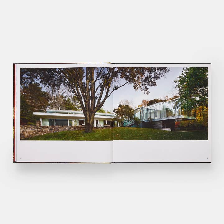 Wholesale Midcentury Houses Today
