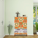 Mid Century Modern Shoe Cabinet, Geometric Design, Orange Green, Retro Designed - Mid Century Modern Gal