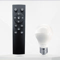 Bulb and Remote Control for Floor Lamp Accessories